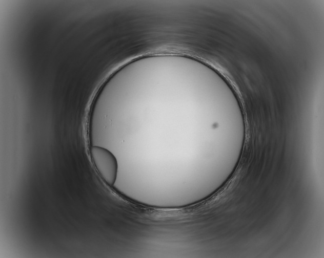 X0000088641486200705250908