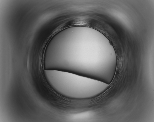 X0000088641487200705250908