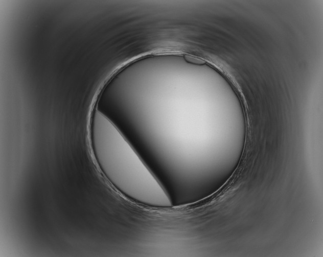 X0000088641488200705250908