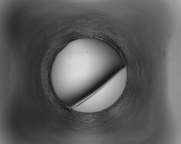 X0000088641489200705250908