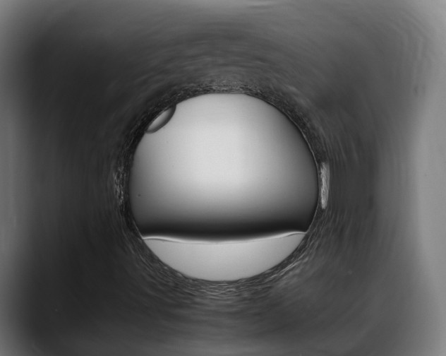 X0000088641491200705250908