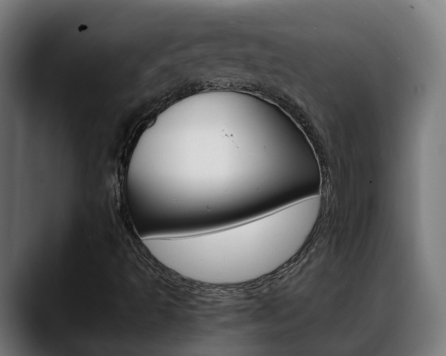 X0000088641493200705250908