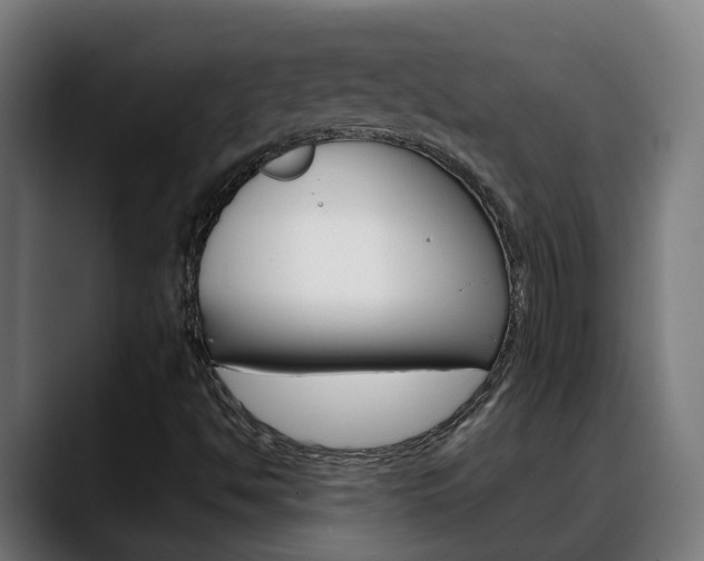 X0000088641494200705250908
