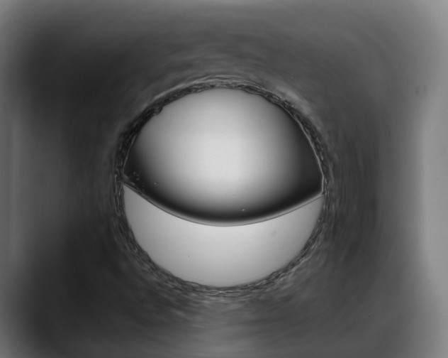 X0000088641496200705250908