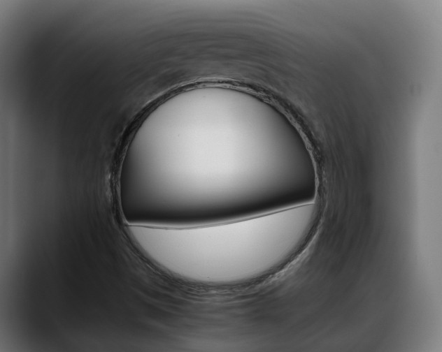 X0000088641497200705250908