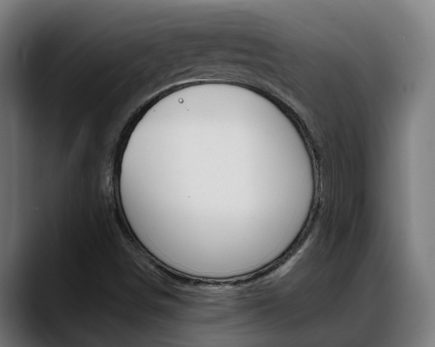 X0000088641498200705250908