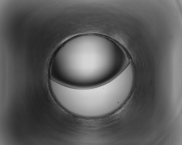 X0000088641500200705250908