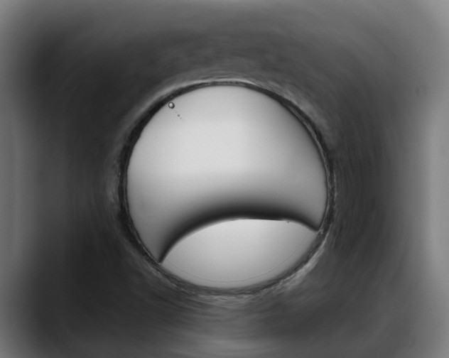 X0000088641502200705250908