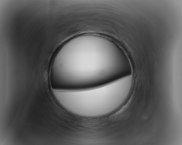 X0000088641505200705250908
