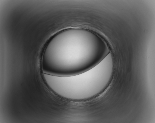 X0000088641506200705250908