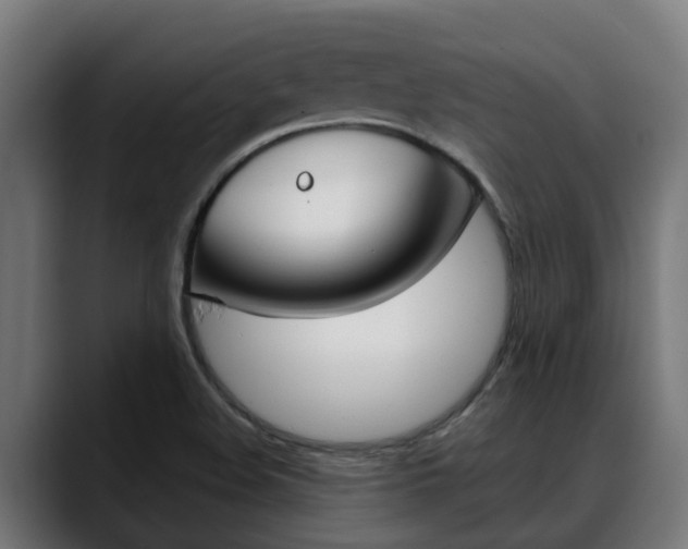 X0000088641508200705250908