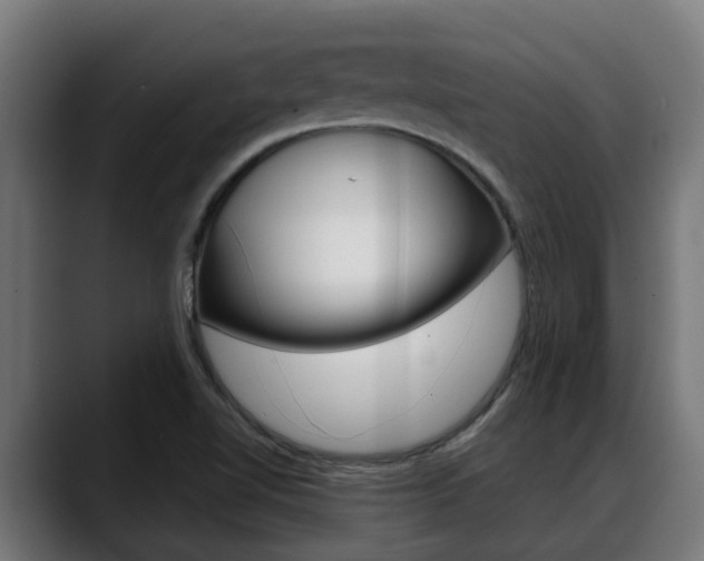 X0000088641510200705250908