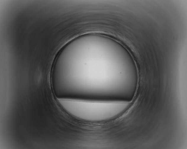 X0000088641513200705250908