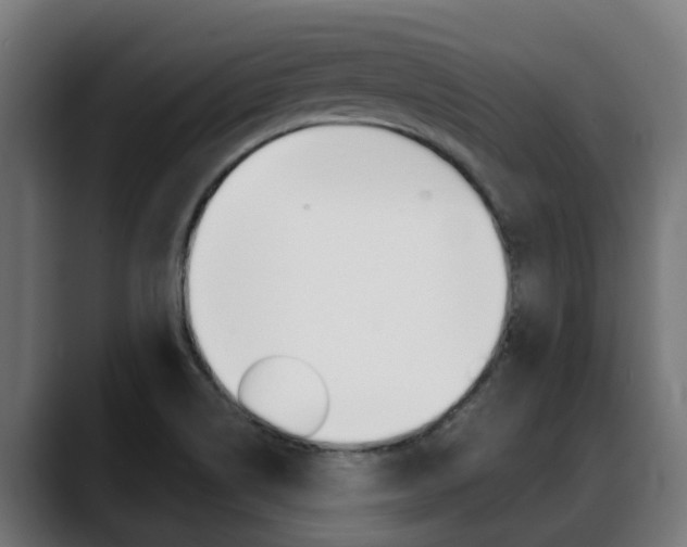 X0000088641514200705250908