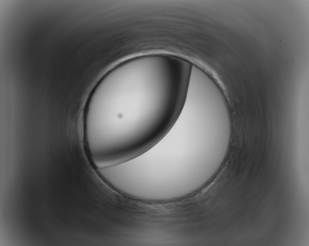 X0000088641516200705250908