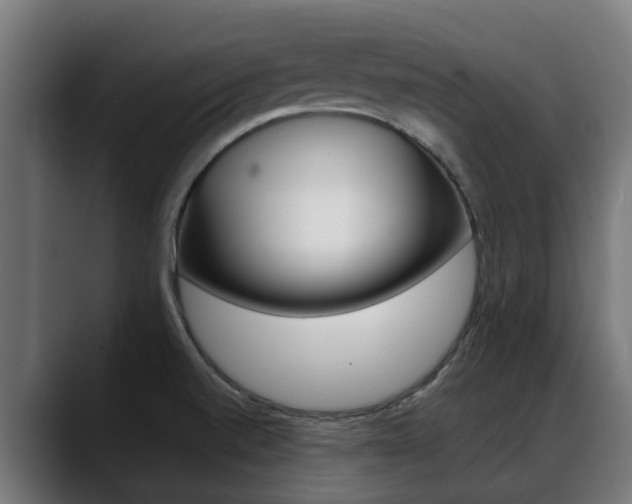 X0000088641520200705250908