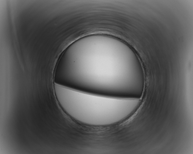 X0000088641521200705250908