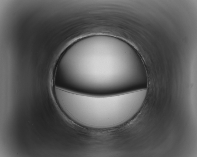 X0000088641523200705250908
