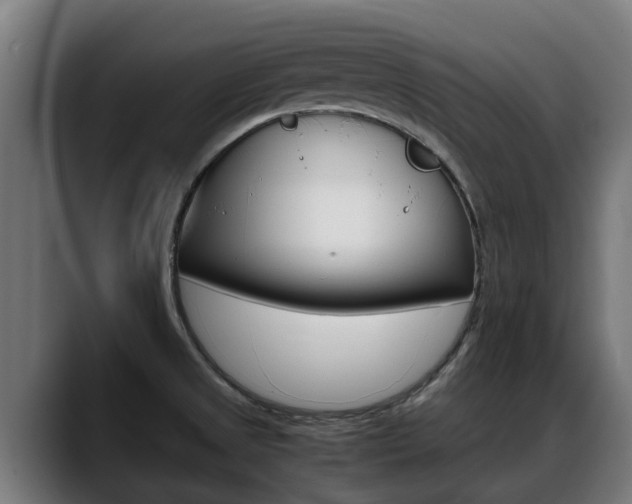 X0000088641525200705250908