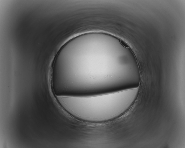 X0000088641526200705250908