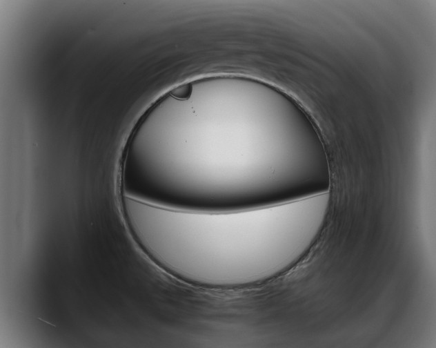 X0000088641527200705250908