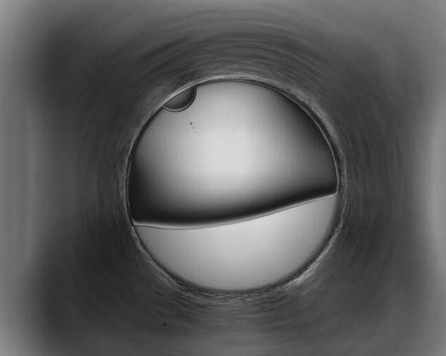 X0000088641529200705250908