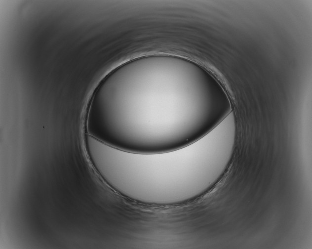 X0000088641530200705250908