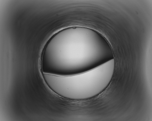 X0000088641531200705250908