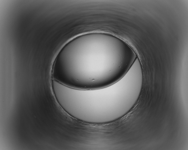 X0000088641532200705250908
