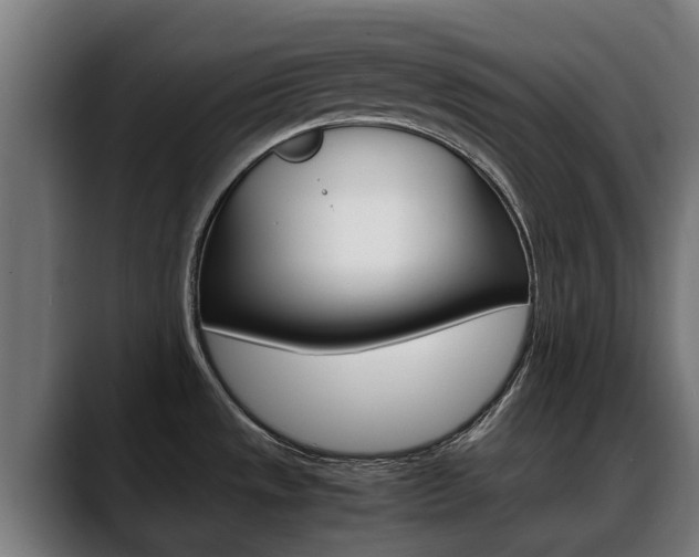 X0000088641533200705250908
