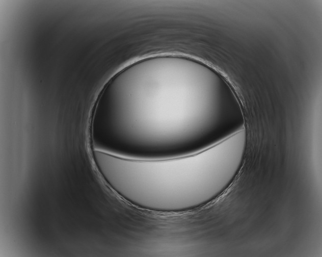 X0000088641534200705250908