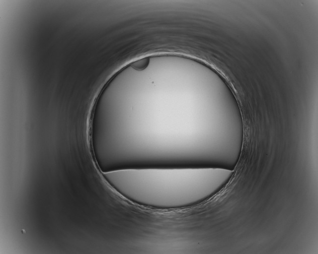 X0000088641535200705250908
