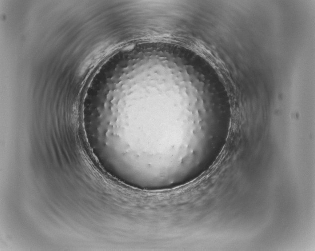X0000088640002200705251509