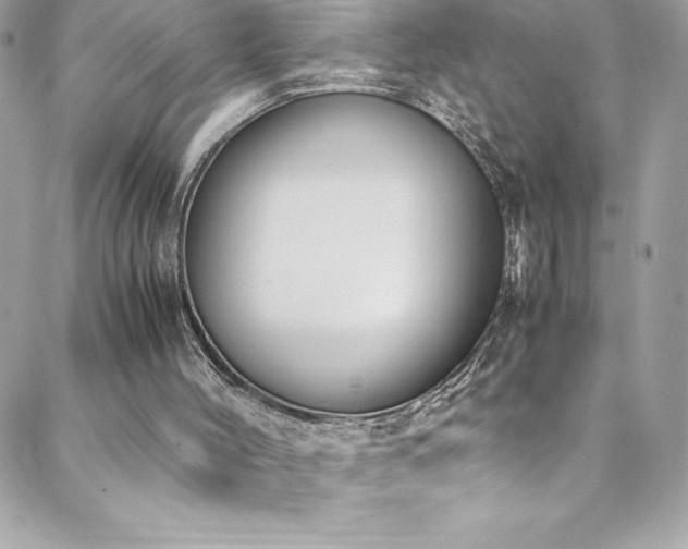 X0000088640004200705251509