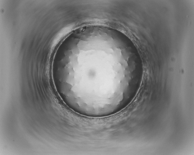 X0000088640006200705251509
