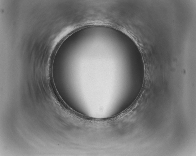 X0000088640008200705251509