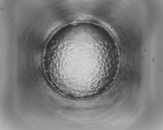 X0000088640010200705251509