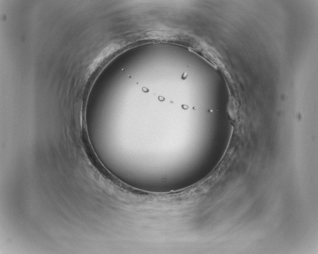 X0000088640011200705251509