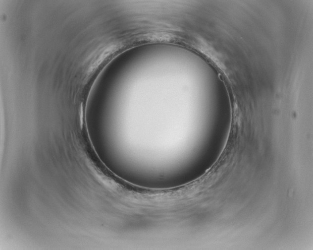 X0000088640013200705251509