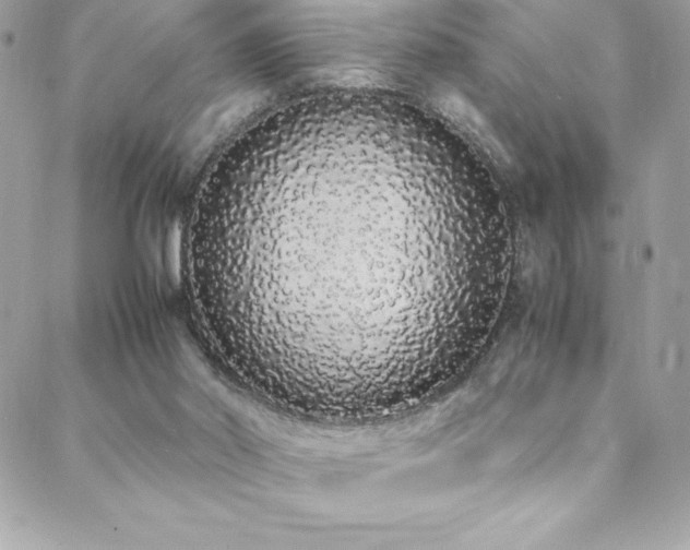 X0000088640014200705251509