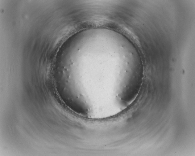 X0000088640018200705251509