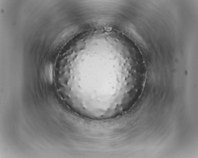 X0000088640022200705251509