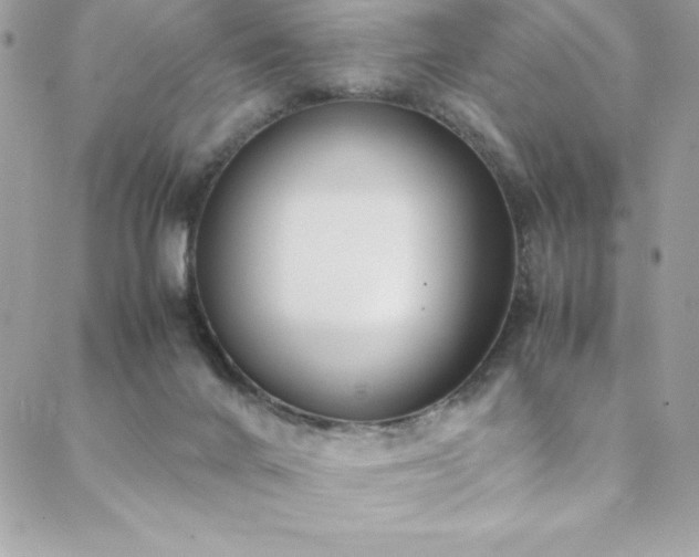 X0000088640024200705251509