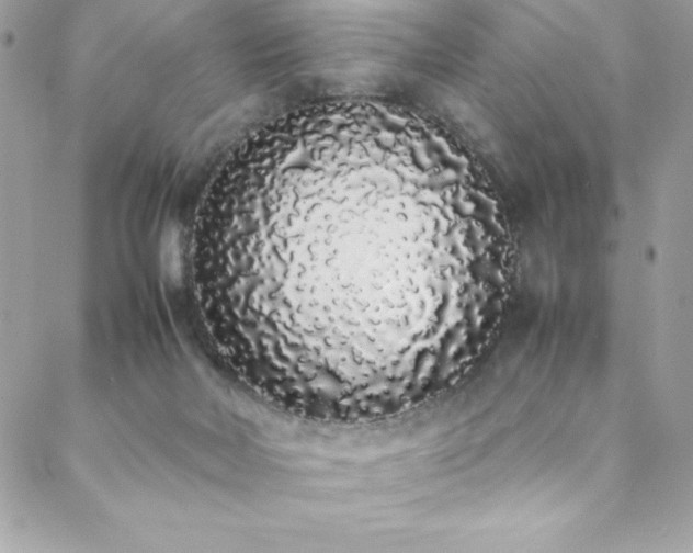X0000088640026200705251509