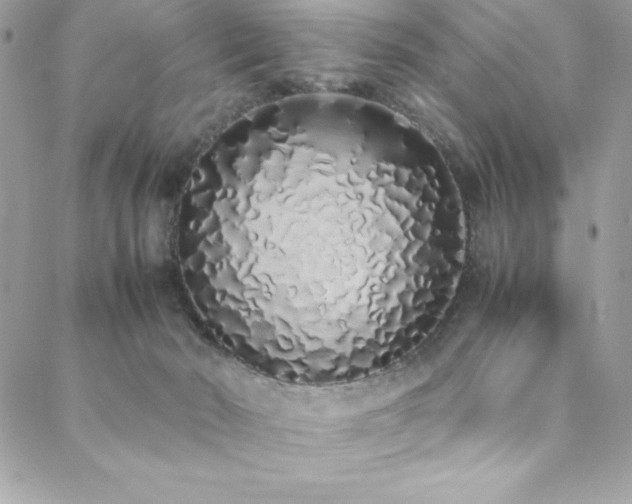 X0000088640030200705251509