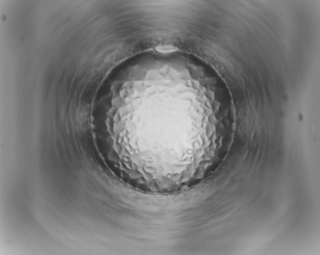 X0000088640034200705251509