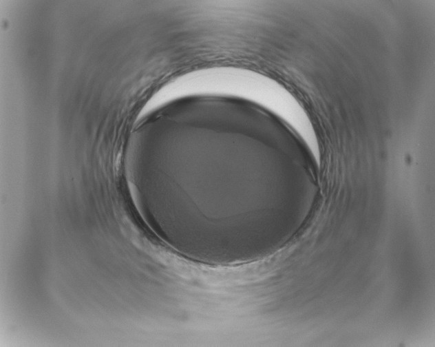 X0000088640039200705251509