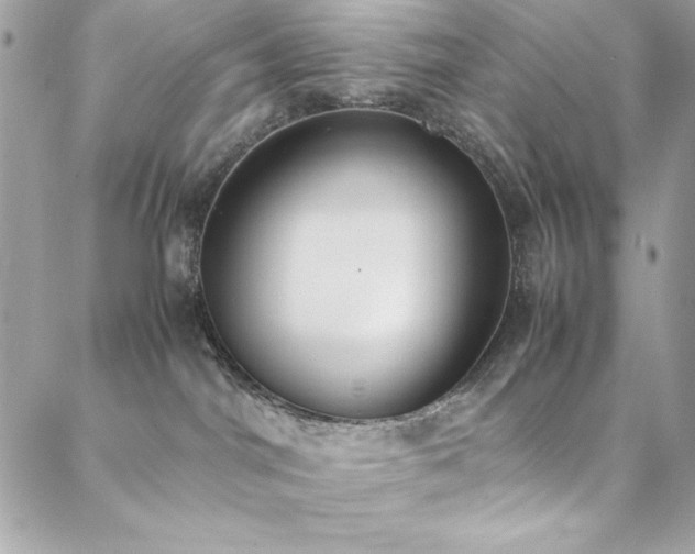X0000088640044200705251508