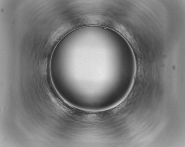 X0000088640058200705251508