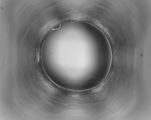 X0000088640062200705251508